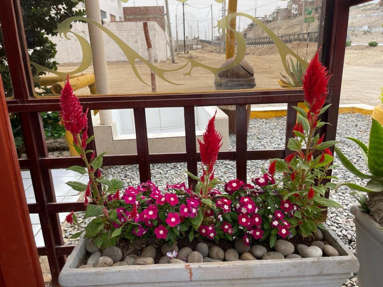 Hostal Ocean Pacifico Punta Negra Dış mekan fotoğraf